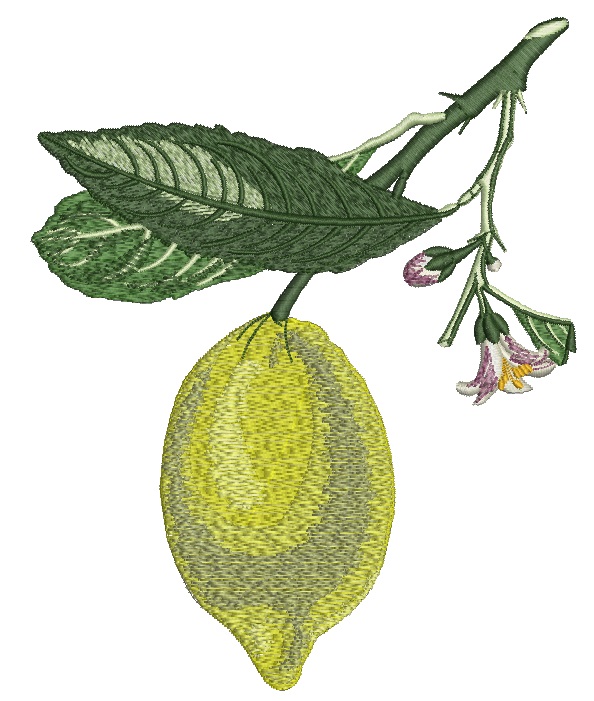 Lemon Machine Embroidery Design 