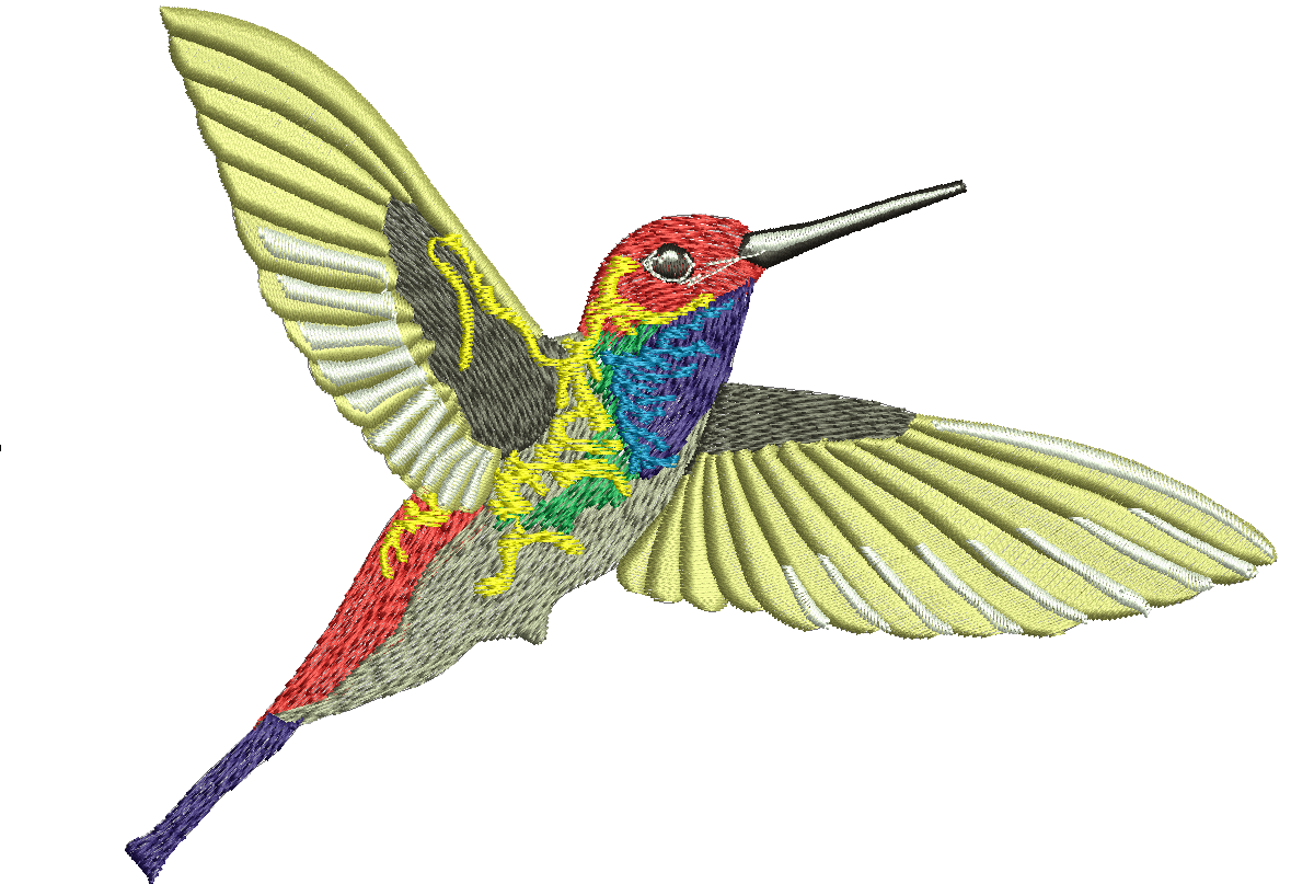 Hummingbird Colibri Machine Embroidery Design  