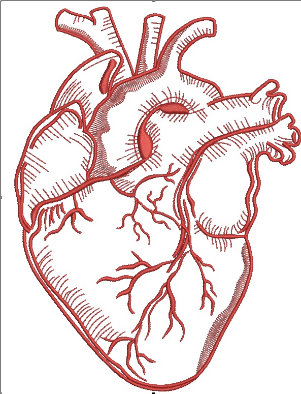 Realistic Human Heart Machine Embroidery Design 