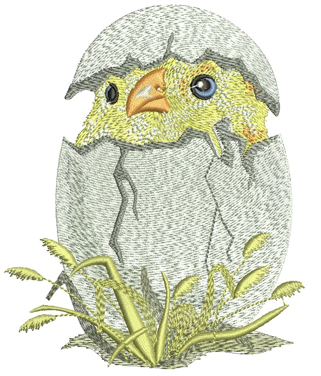 Charming Easter Chick Hatching Machine Embroidery Design 