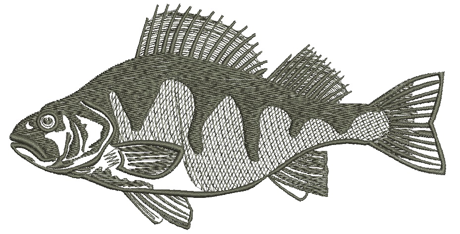 Perch Bass Fish Machine Embroidery Design 
