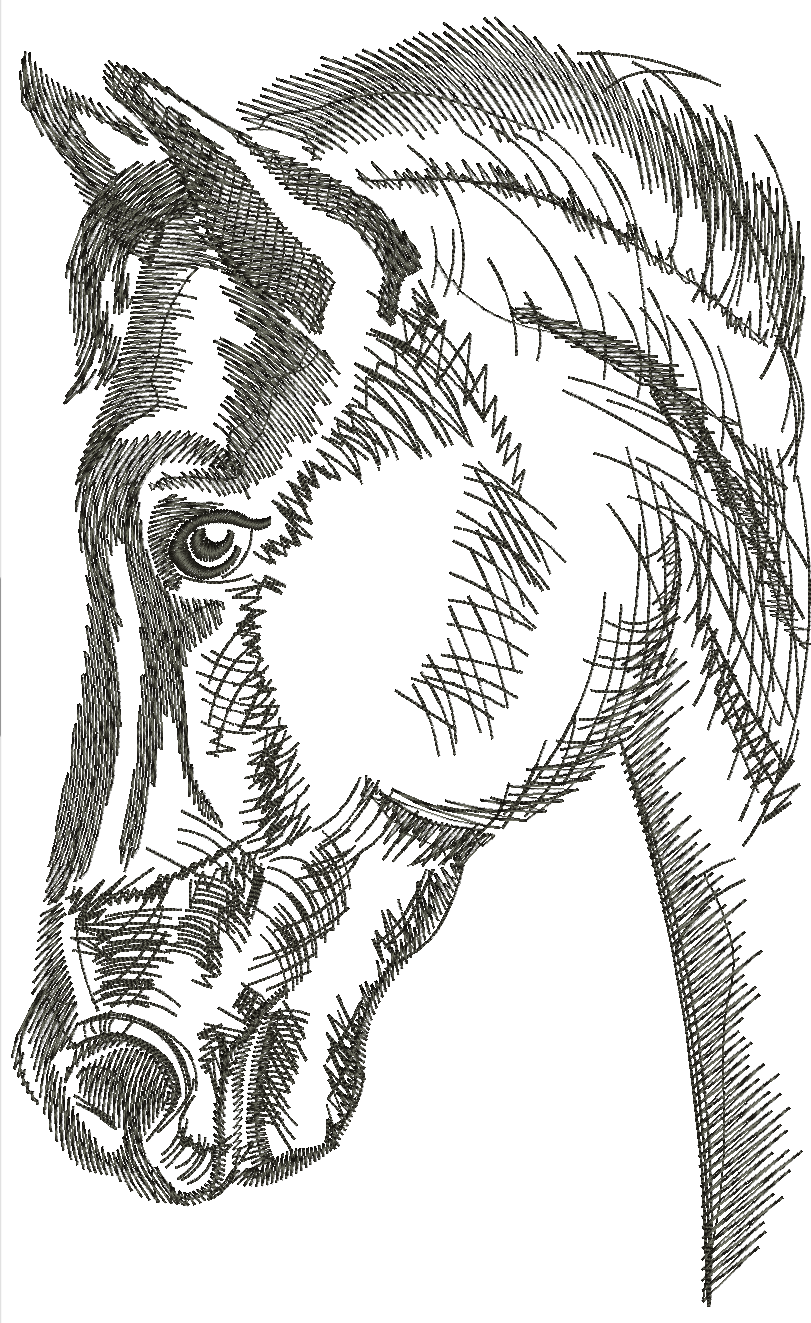 Horse Head Machine Embroidery Design 