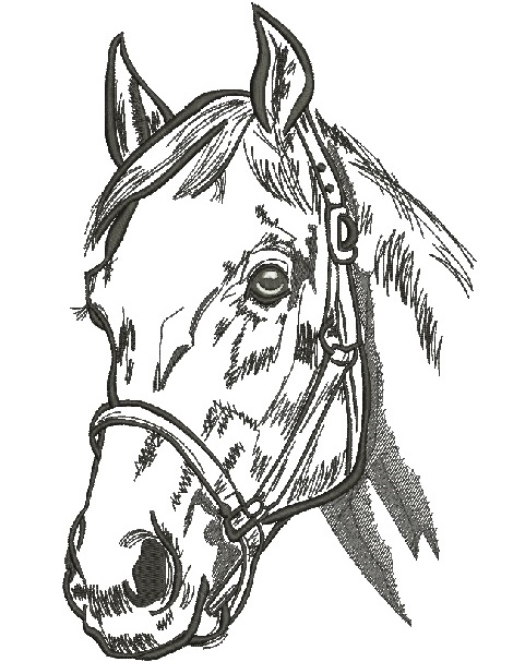 Horse Head Machine Embroidery Design06122025