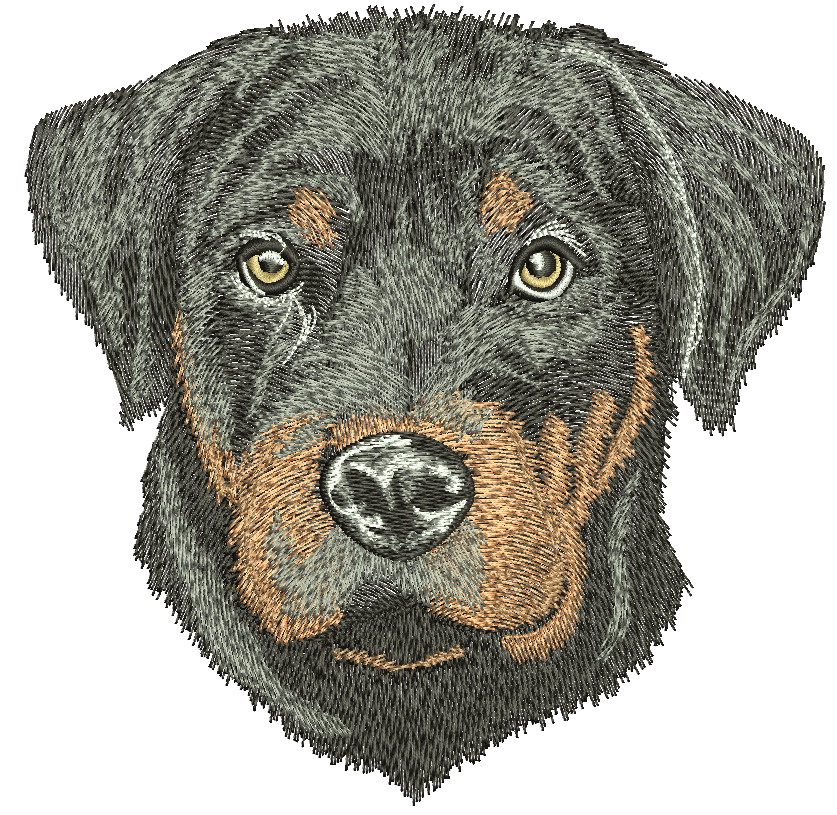 Rottweiler Puppy Dog Portrait Machine Embroidery Design, Black Dog Head Digital File  