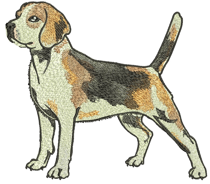 Beagle Dog Machine Embroidery Design, Standing Beagle Hound Digital File  