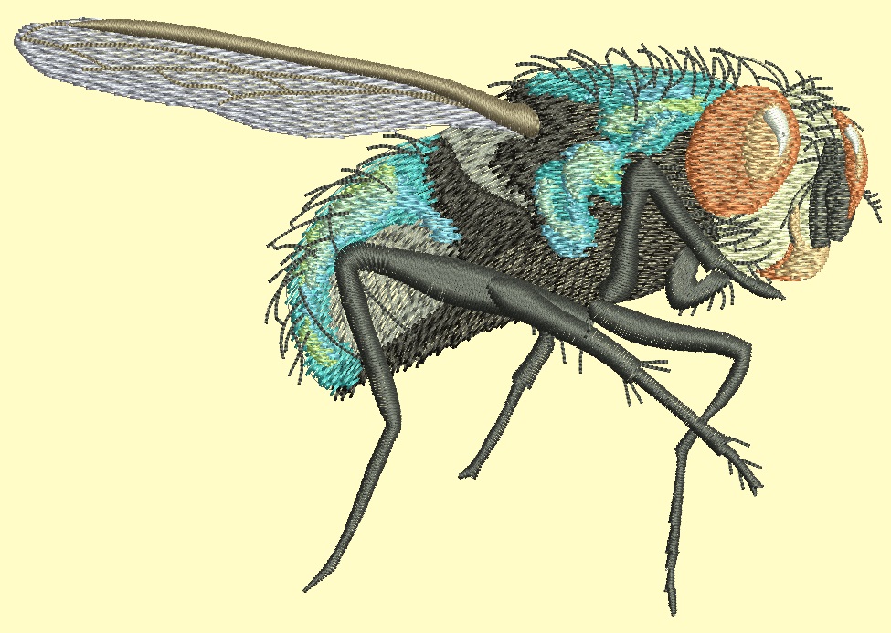 Realistic Flying Green Fly Machine Embroidery Design, Instant Download 