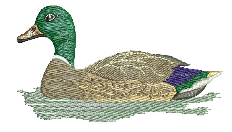 Mallard Duck Machine Embroidery Design, Swimming Waterfowl Digital File 
