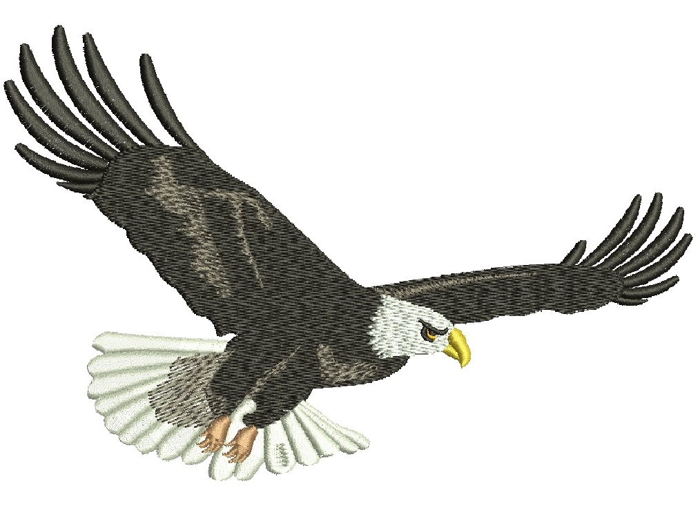 Eagle Machine Embroidery Design – Majestic Bird of Prey Pattern  