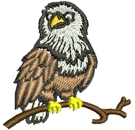 American bald eagle  Embroidery Machine Embroidery Design, Instant Download 