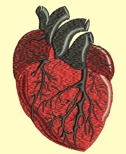 Human Heart Machine Embroidery Design, Instant Download 