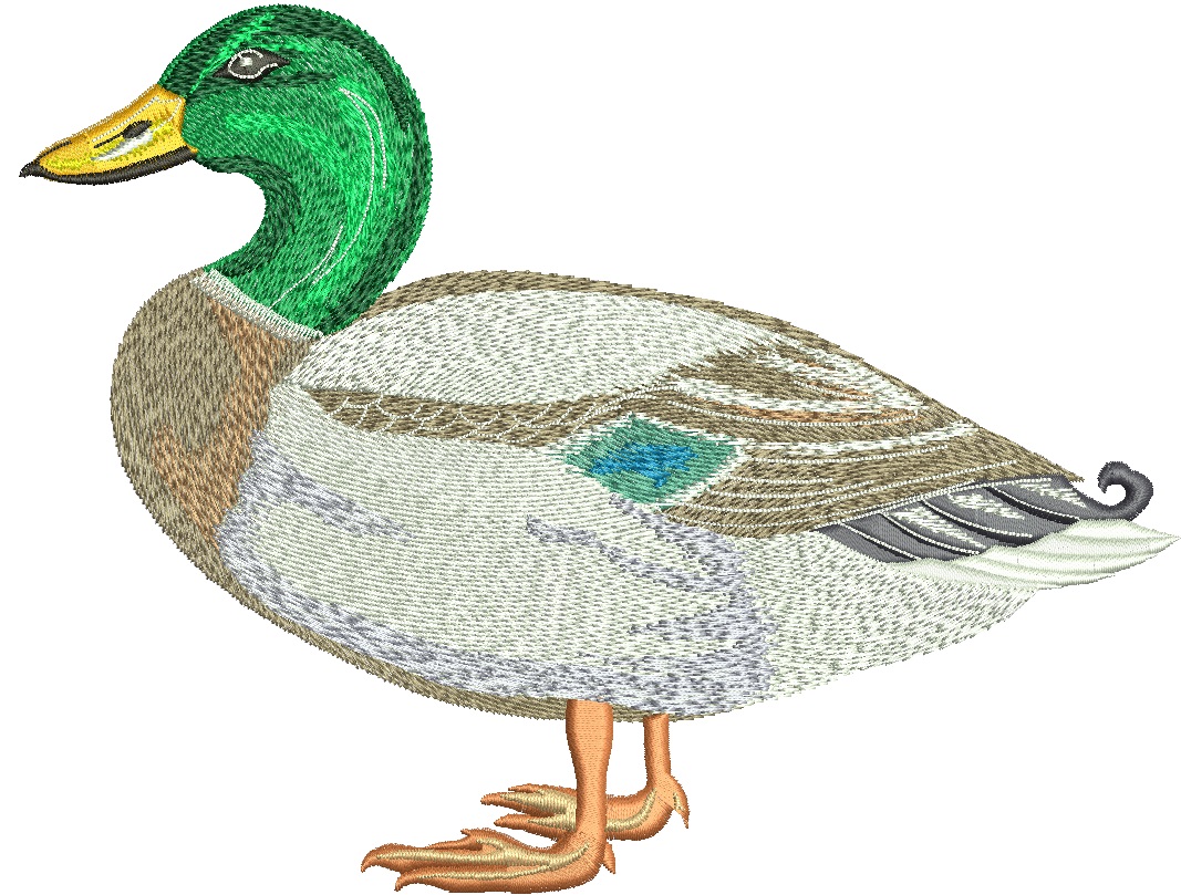 Mallard Duck Machine Embroidery Design, Standing Waterfowl Digital File 