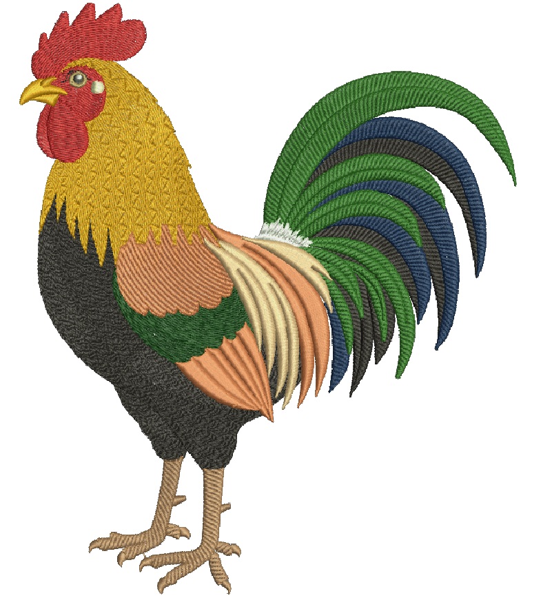 Colorful Rooster Machine Embroidery Design, Farm Animal, Detailed Feathers, 5 Sizes