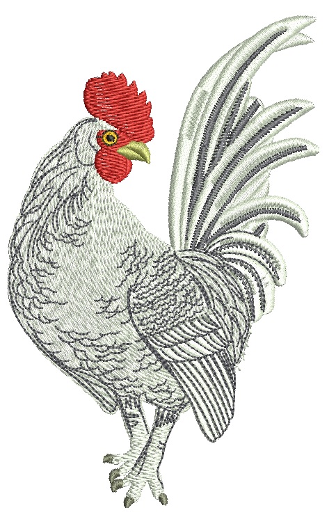 White Rooster Machine Embroidery Design, Country Kitchen Decor Digital File 
