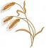 SET Two kinds  of spikelets Machine Embroidery Designs