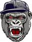 Angry gorilla  in a cap  SVG. dxf, PNG. EPS. jpg big size , instantly download 