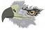 Big eagle  Embroidery Machine Embroidery Design, Instant Download 