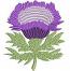 Scotch Thistle Flower  Scottish thistle machine embroidery design/ letters not included 