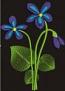 Violet / viola  Machine Embroidery Design 