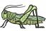 Realistic Grasshopper, Grasshopper Embroidered Iron on Patch. Machine Embroidery Design, Instant Download  