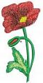 Poppy. Machine Embroidery Design. Instant Download 