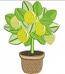 Lemon Tree and Fruits Machine Embroidery Designs, instantly download 