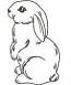 Bunny Machine Embroidery Designs, instantly download 
