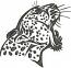Leopard Machine Embroidery Designs, instantly download 