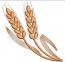 Wheat Stalks machine embroidery design -digital file. 