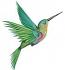 Colibri. Machine Embroidery Design, Instant Download  