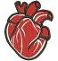 Miniature Human Heart Machine Embroidery Design, Instant Download 