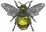 Bumblebee. Machine Embroidery Design, Instant Download  