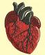 Human Heart Machine Embroidery Design, Instant Download 
