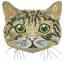 Cat Machine Embroidery Design Instant Download Digital File 