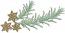 Rosemary branches and anise