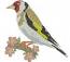 Black-headed goldfinch bird on sakura branch machine embroidery design  