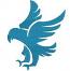 Flying eagle machine embroidery design 
