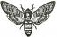 Butterfly dead head machine embroidery design, instant download 