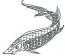 Sturgeon machine embroidery design 