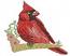Cardinal red bird machine embroidery design 