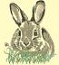 Cute rabbit bunny, low stitch count, easter animal – Machine Embroidery Design
