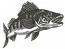 Zander fish machine embroidery design – monochrome 