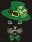 Mystical green-eyed cat with clover hat machine embroidery design 