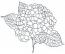 Hydrangea Machine Embroidery Design