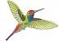 Hummingbird Colibri Machine Embroidery Design  