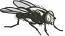 Realistic Black Fly Machine Embroidery Design 