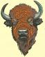 Majestic Buffalo Bison Machine Embroidery Design 