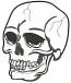Gothic Skull Machine Embroidery Design 