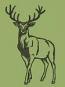Stately Full-Body Stag Silhouette Embroidery Design 