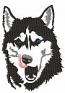 Noble Husky Head Portrait Machine Embroidery Design 