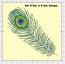 Peacock Feather Machine Embroidery Design 